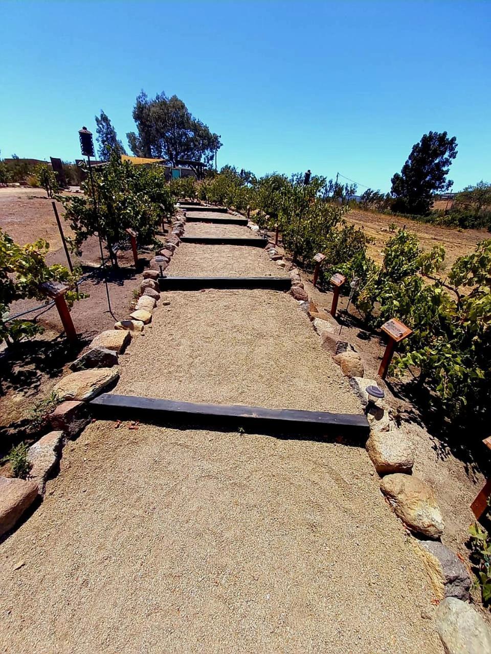 ואלה דה גוואדלופה Finca Vidandrei Casa Eucalipto מראה חיצוני תמונה