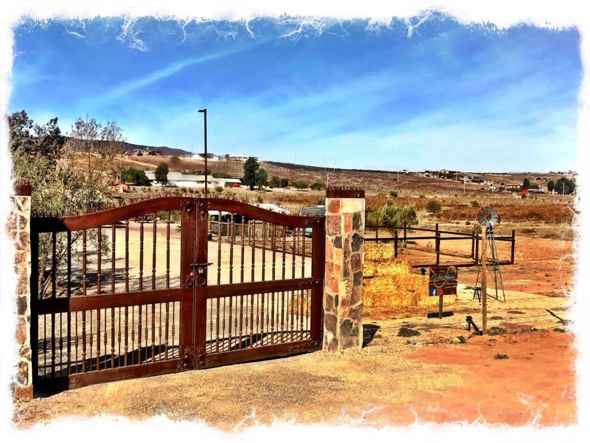 ואלה דה גוואדלופה Finca Vidandrei Casa Eucalipto מראה חיצוני תמונה